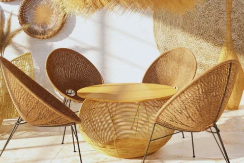 Compare Wicker vs Rattan vs Cane